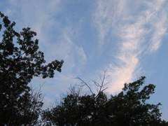Random photo