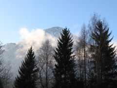 Random photo