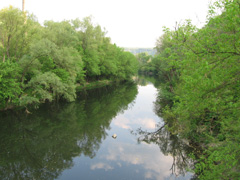 Random photo