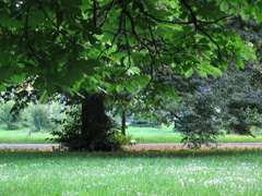 Random photo